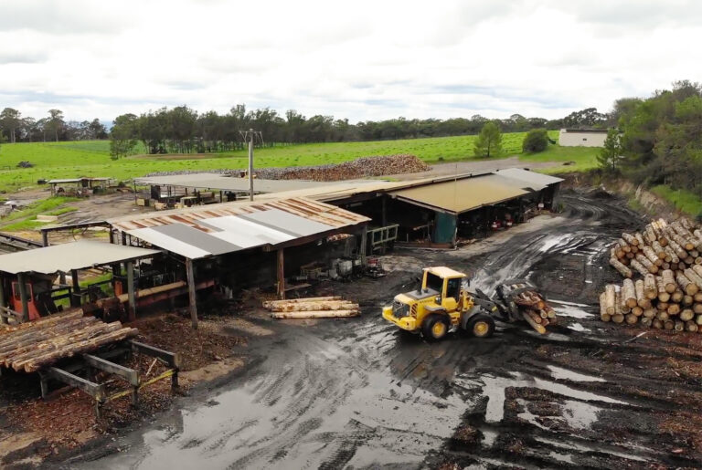 Hayters sawmill sydney 05 2 1 768x515