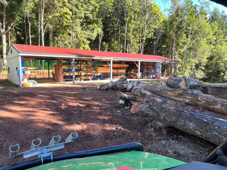 minyon timber 768x576